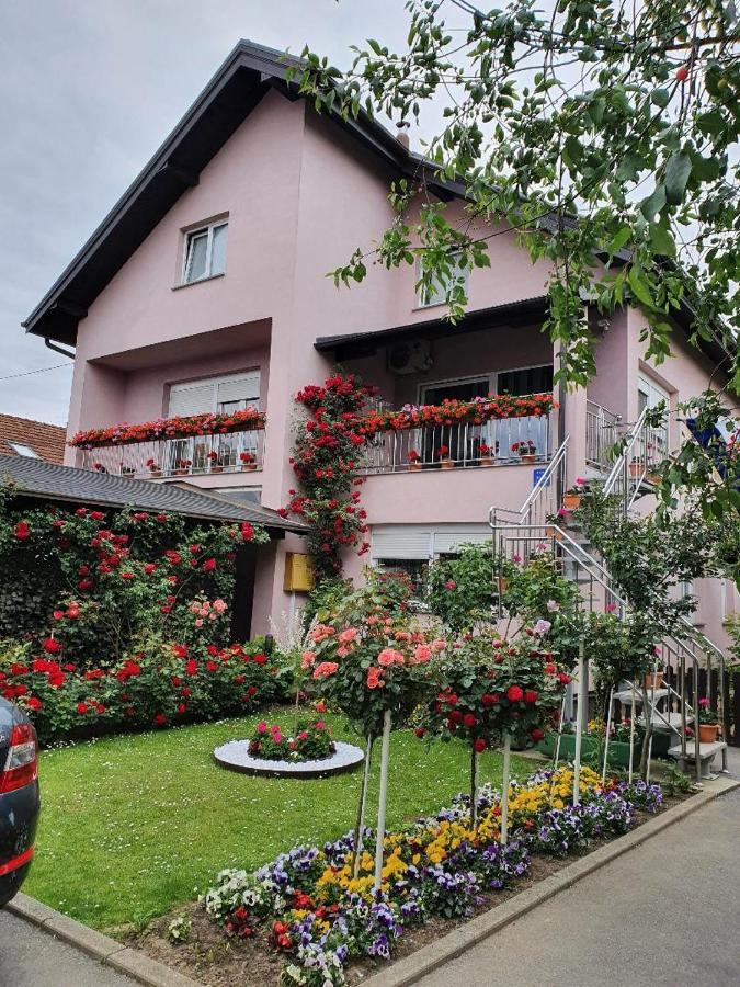 Apartman Vesna 벨로바르 외부 사진